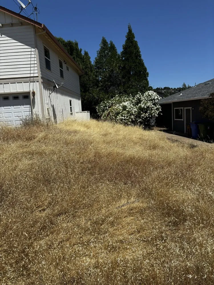 Local outdoor landscaping experts serving Clearlake, CA - Fresh Cut