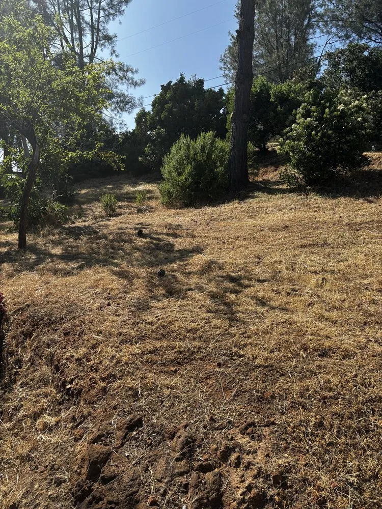 Custom outdoor landscaping for outdoor upgrades in Clearlake, CA by Fresh Cut