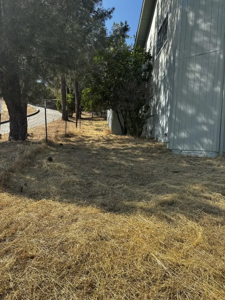 Reliable yard maintenance for homes in Clearlake, CA by Fresh Cut
