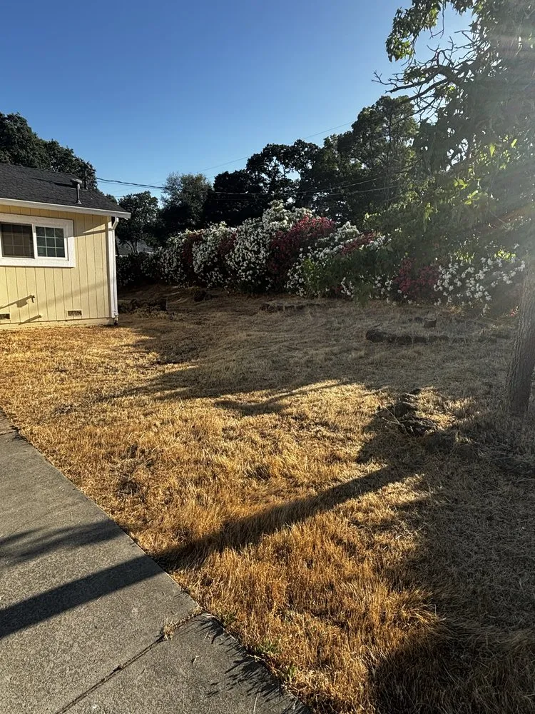 Affordable landscape design for outdoor upgrades in Clearlake, CA by Fresh Cut