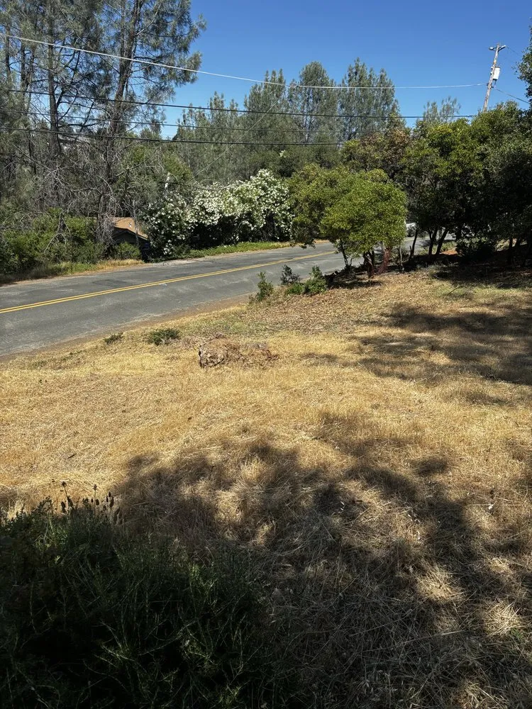 Reliable outdoor landscaping for beautiful yards across Clearlake, CA - Fresh Cut