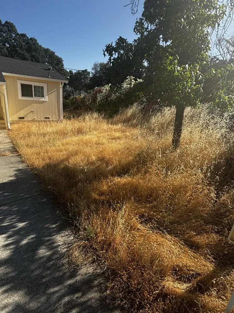 Affordable landscape design experts serving Clearlake, CA - Fresh Cut