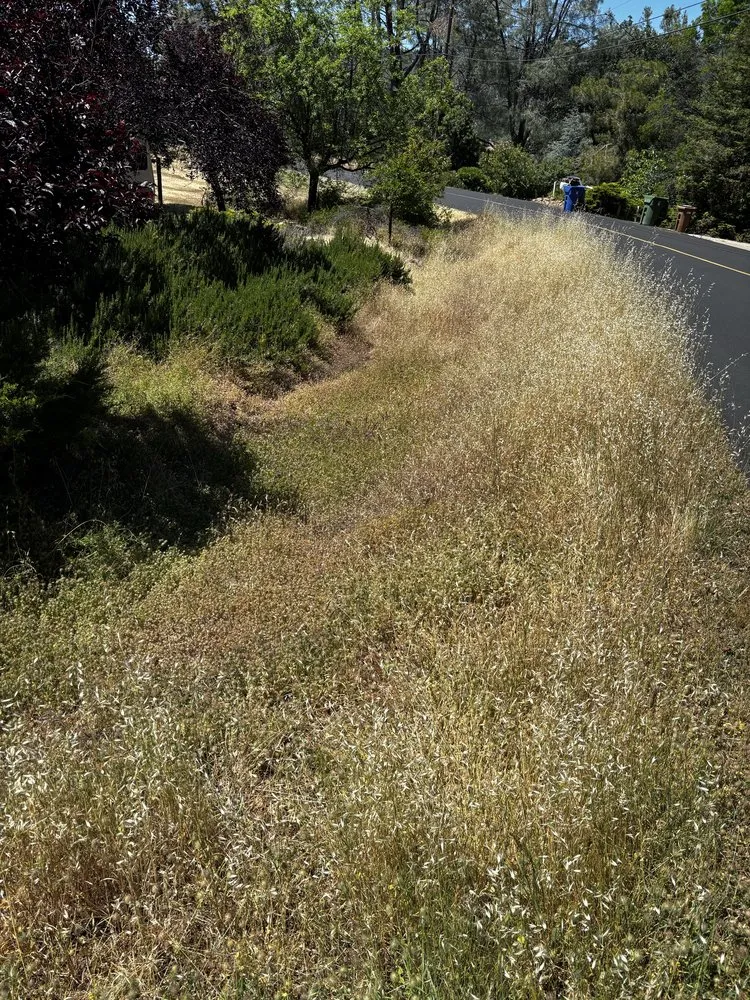 Professional lawn care service in Clearlake, CA by Fresh Cut