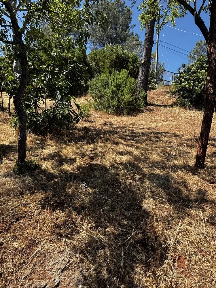 Trusted landscaping services near you across Clearlake, CA - Fresh Cut