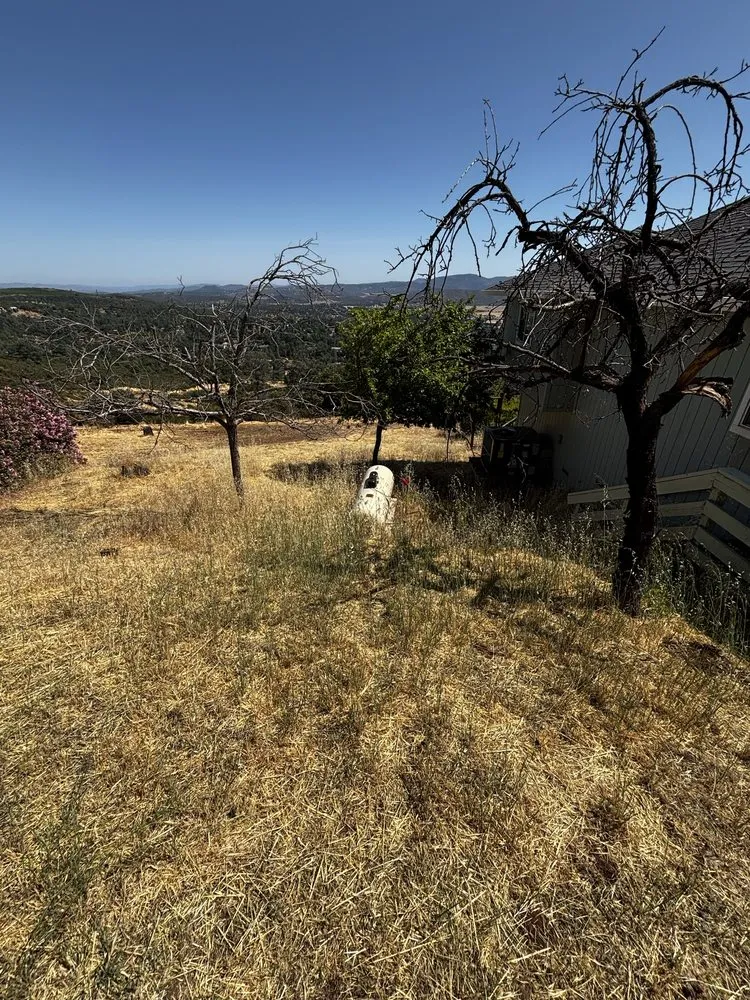 Professional yard maintenance experts serving Clearlake, CA - Fresh Cut