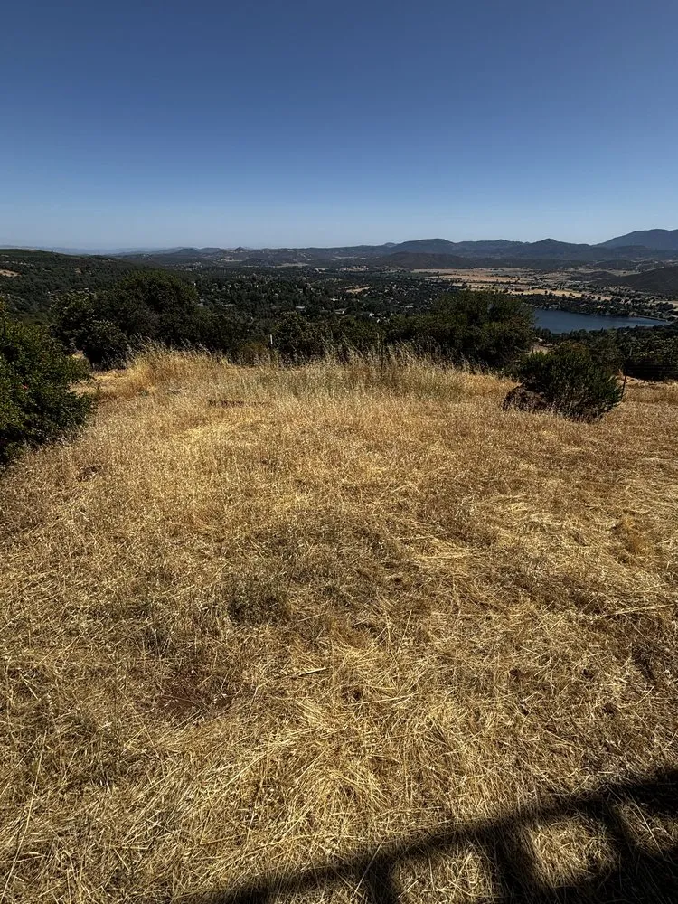 Top-rated yard cleanup service for residential properties across Clearlake, CA - Fresh Cut