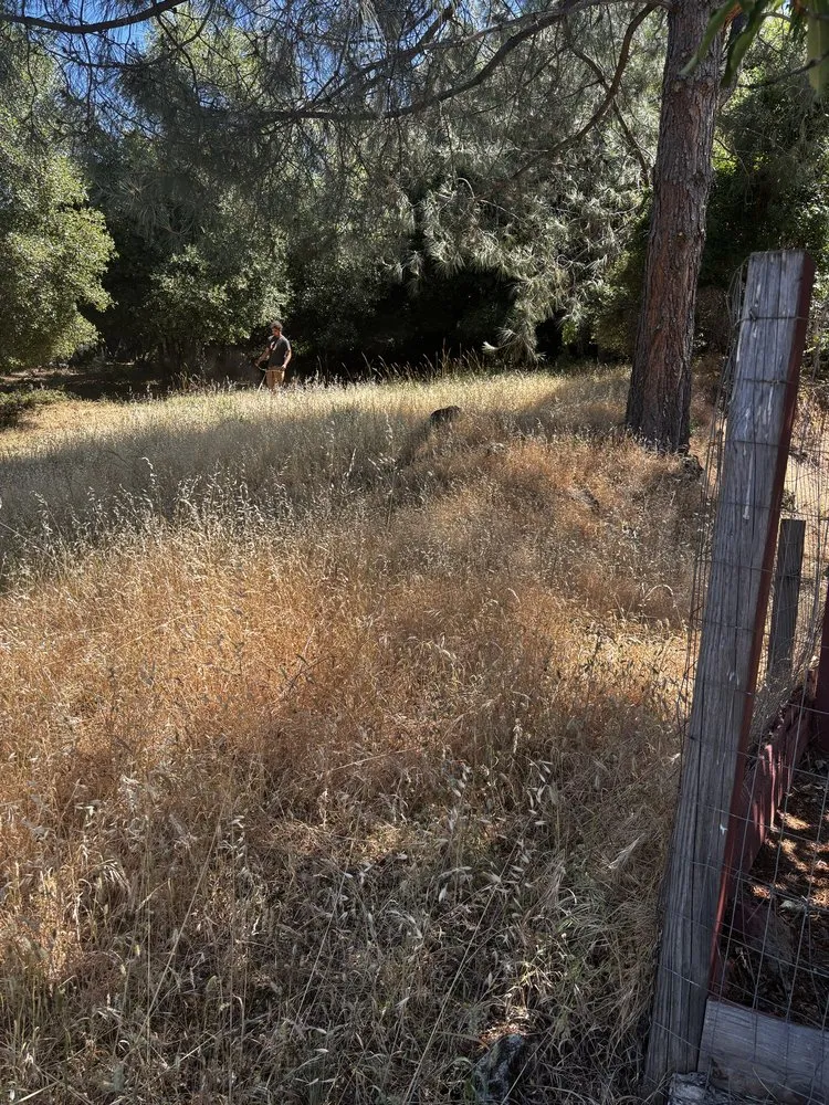 Professional lawn mowing service near you across Clearlake, CA - Fresh Cut