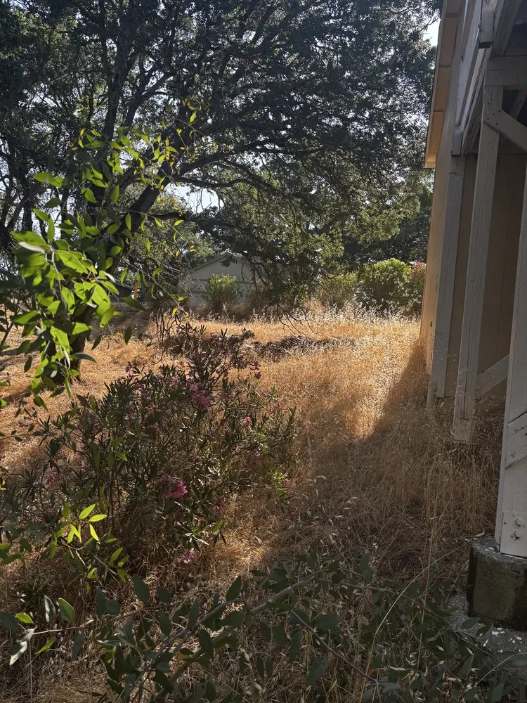 Top-rated yard cleanup service with custom design in Clearlake, CA by Fresh Cut