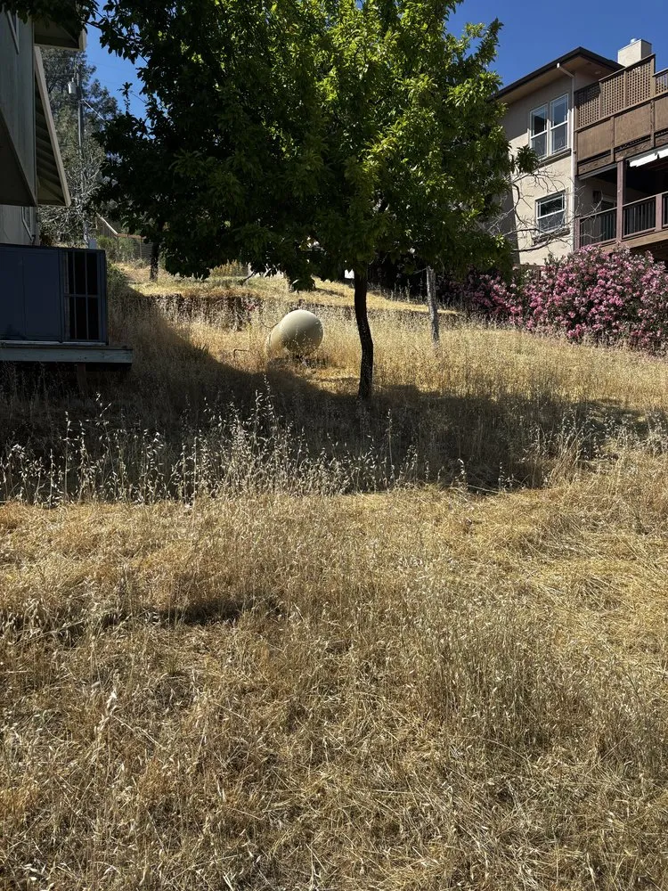 Top-rated garden landscaping for year-round maintenance across Clearlake, CA - Fresh Cut