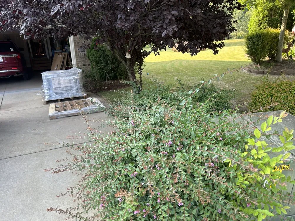 Expert lawn mowing service for homes across Four Oaks, NC - Fresh Cut