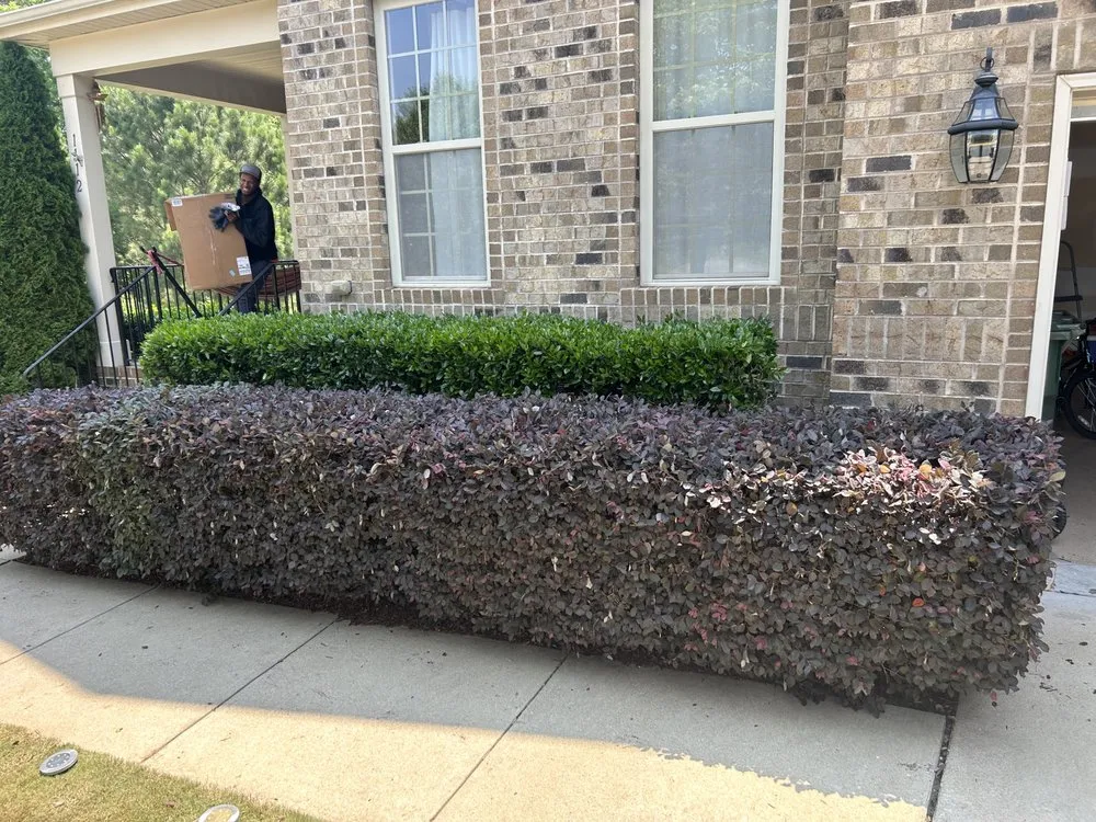 Trusted lawn care service in Four Oaks, NC - Fresh Cut