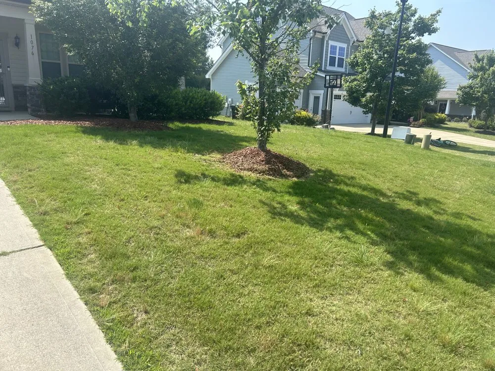 Reliable yard cleanup service for outdoor upgrades across Four Oaks, NC - Fresh Cut