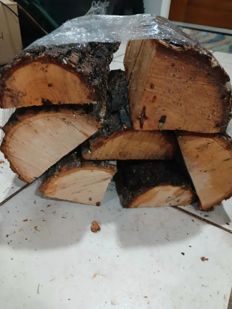 Affordable residential landscaping in Artesia, NM by Fresh Cut Junk Busters