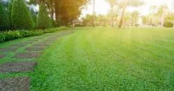 Professional lawn mowing service in Athens, GA by Fresh Cut Landscaping