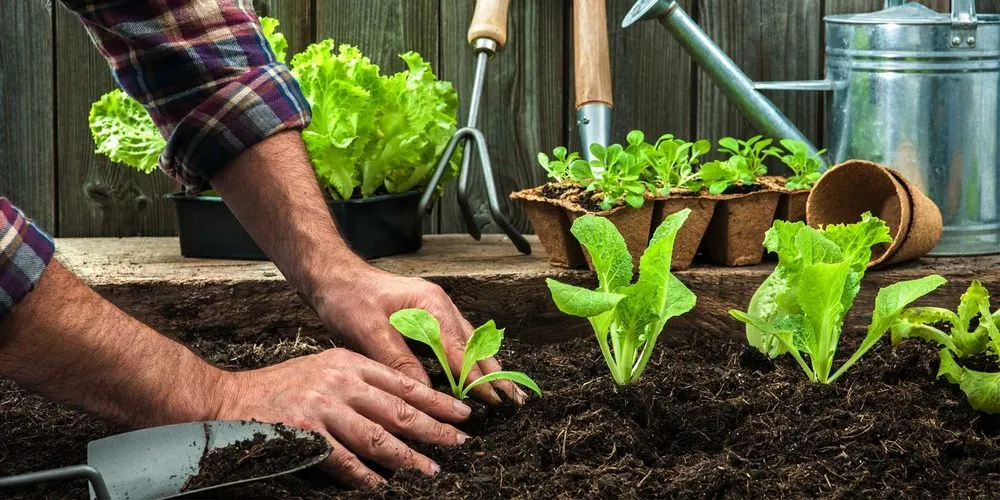 Professional landscape design in Chantilly, VA by Fresh Cut Landscaping