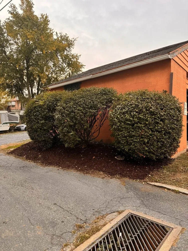 Affordable outdoor landscaping in Columbia, PA by Fresh Cut Landscaping