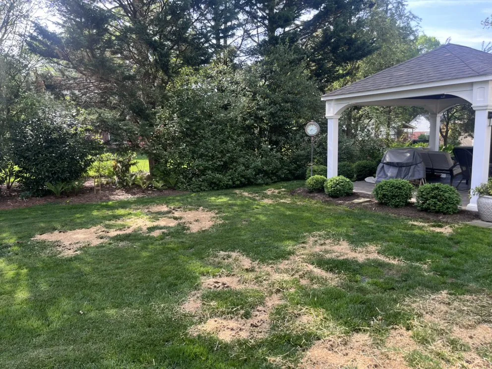 Professional outdoor landscaping experts serving Columbia, PA - Fresh Cut Landscaping