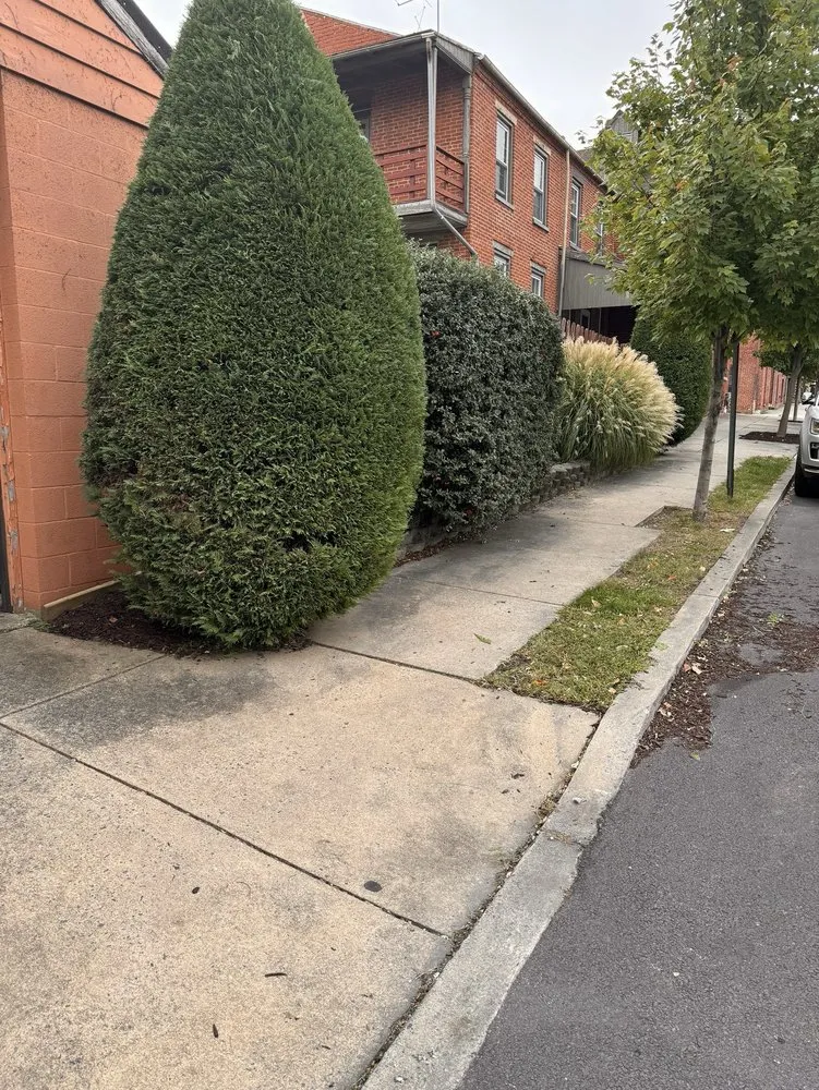 Top-rated yard maintenance in Columbia, PA - Fresh Cut Landscaping