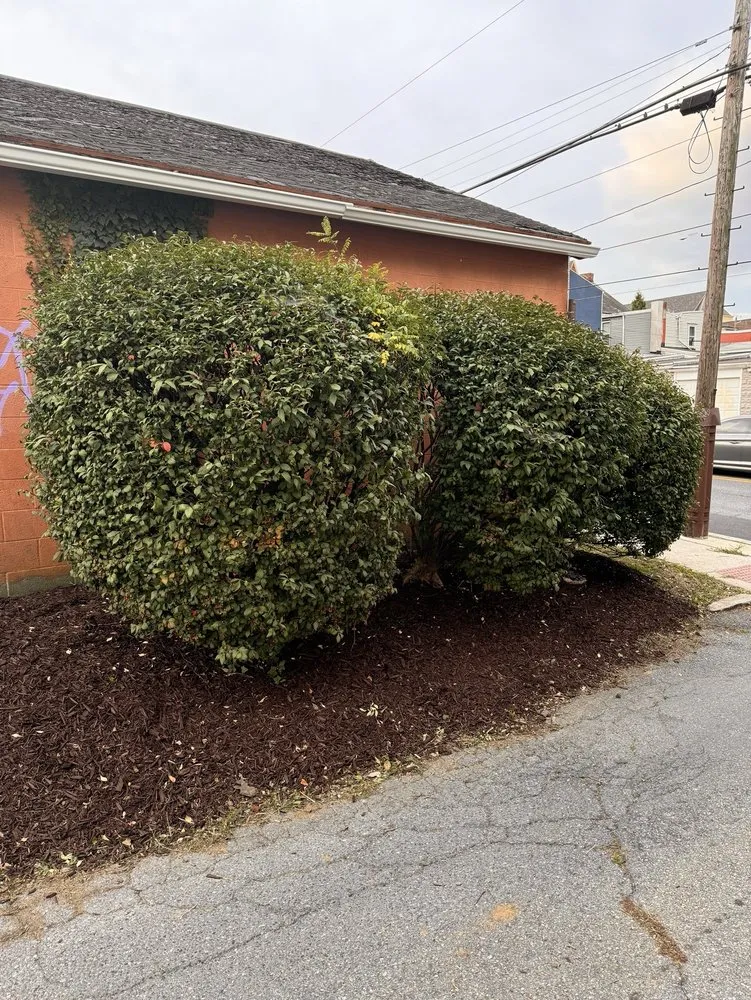Top-rated yard maintenance experts serving Columbia, PA - Fresh Cut Landscaping