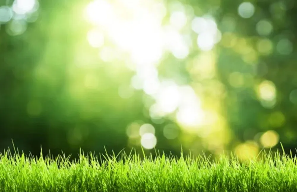 Trusted residential landscaping for year-round maintenance in Green River, WY by Fresh Cut Lawn Care