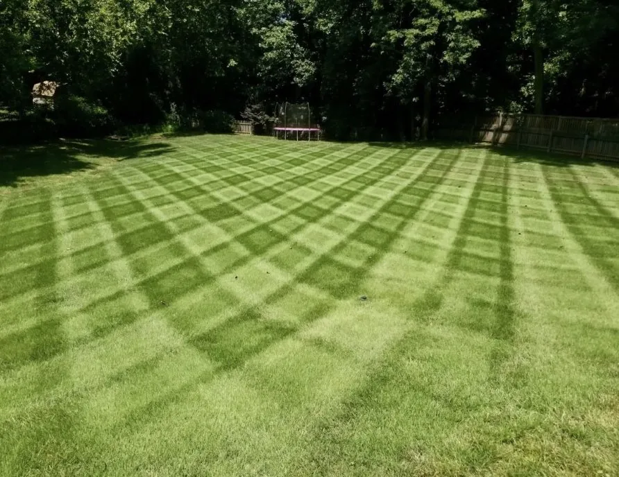 Trusted yard cleanup service in Lynden, WA by Fresh Cut Lawn Care