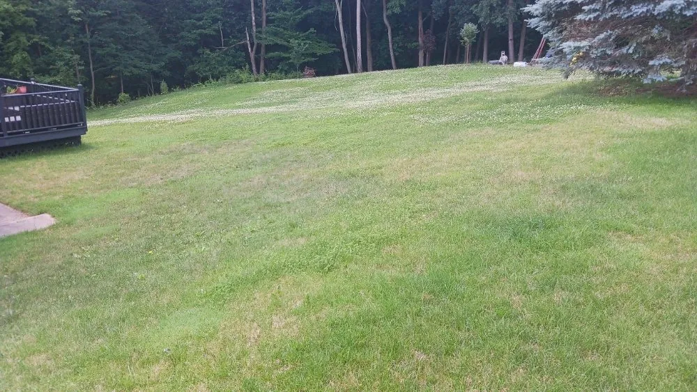Trusted landscape installation in Burton, MI - Fresh Cut Lawn Care Service