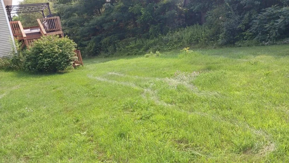 Professional outdoor landscaping for residential properties across Burton, MI - Fresh Cut Lawn Care Service