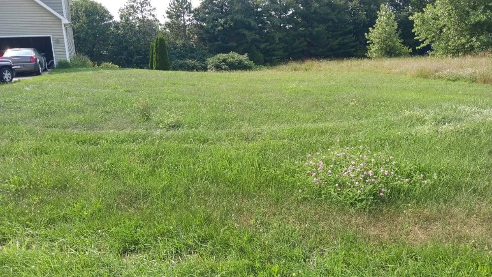 Trusted garden landscaping in Burton, MI - Fresh Cut Lawn Care Service