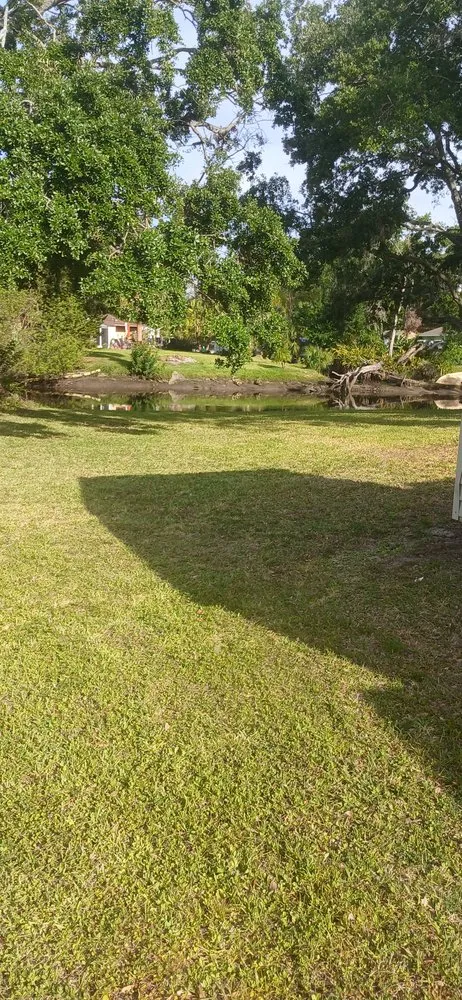 Custom lawn care service in Tampa, FL - Fresh Cut Lawn Service and More