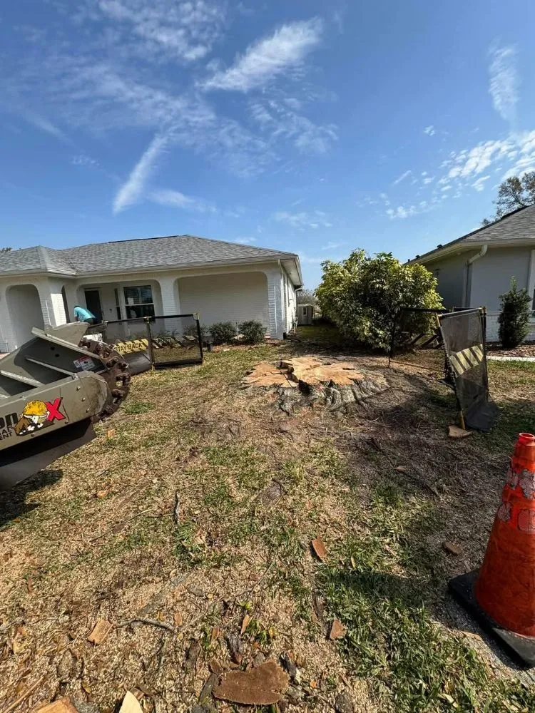 Reliable garden landscaping for residential properties across Tampa, FL - Fresh Cut Lawn Service and More