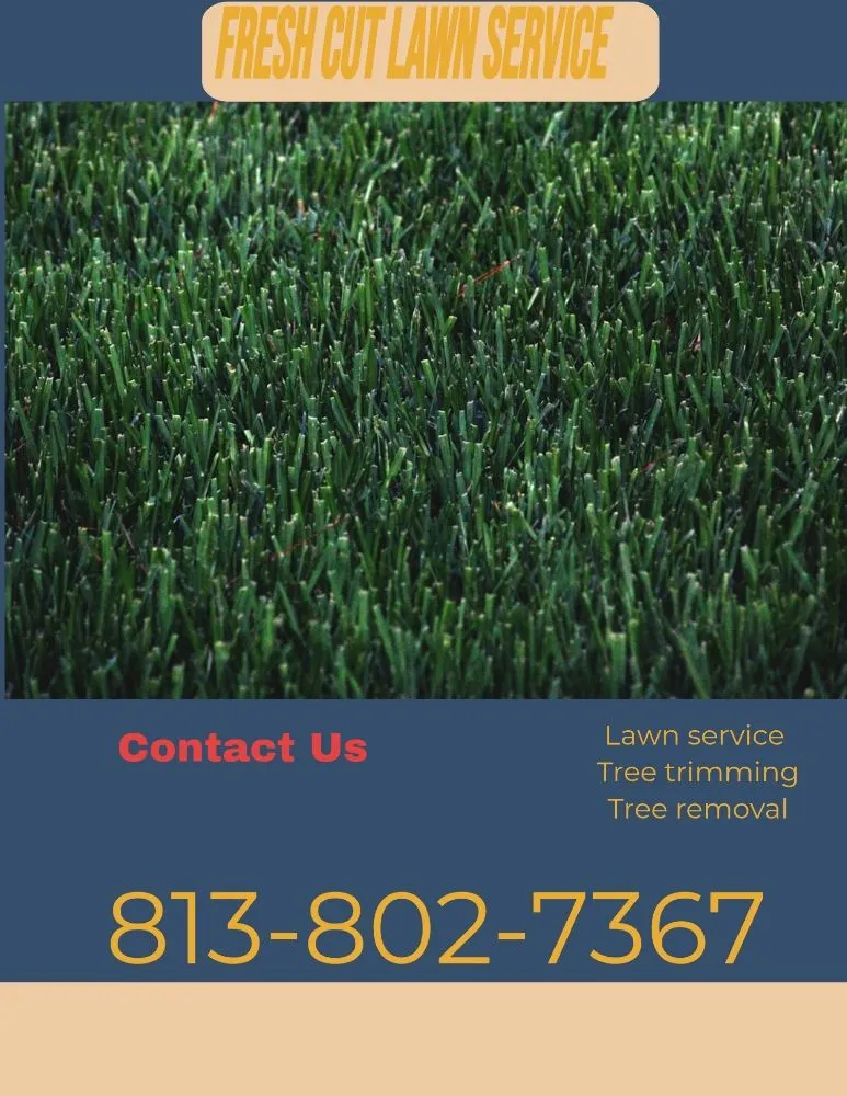 Top-rated landscaping services for outdoor upgrades across Tampa, FL - Fresh Cut Lawn Service and More