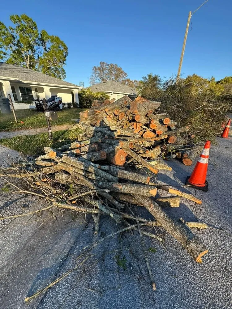 Local landscaping services with custom design across Tampa, FL - Fresh Cut Lawn Service and More