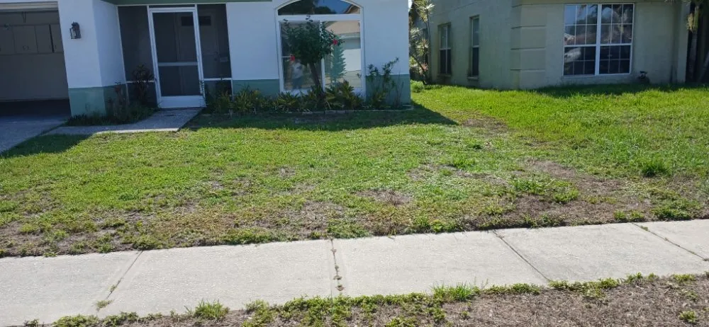 Custom lawn mowing service in Tampa, FL - Fresh Cut Lawn Service and More