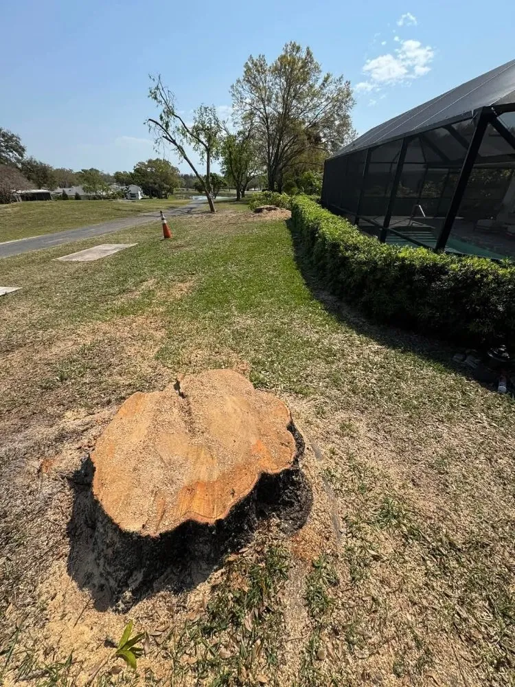 Professional landscape installation for outdoor upgrades in Tampa, FL by Fresh Cut Lawn Service and More