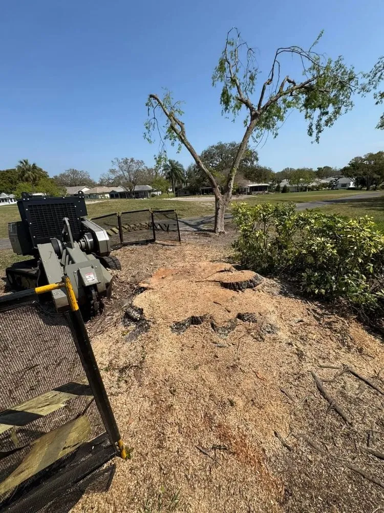 Top-rated lawn mowing service for beautiful yards across Tampa, FL - Fresh Cut Lawn Service and More