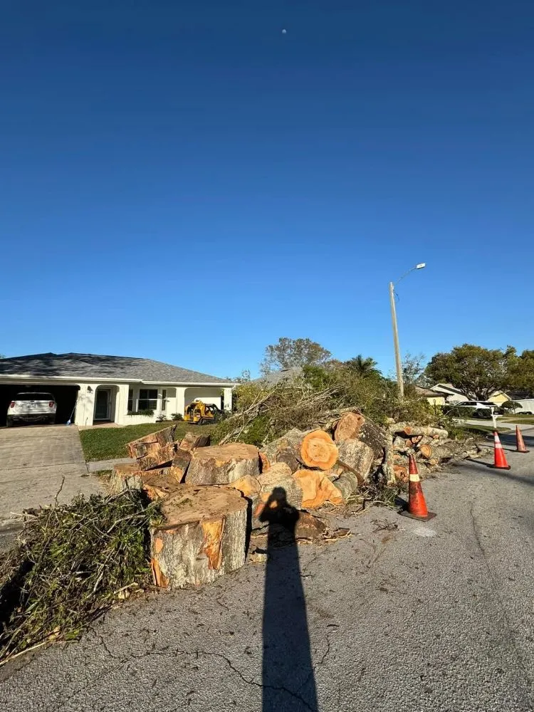 Professional landscape design for outdoor upgrades across Tampa, FL - Fresh Cut Lawn Service and More