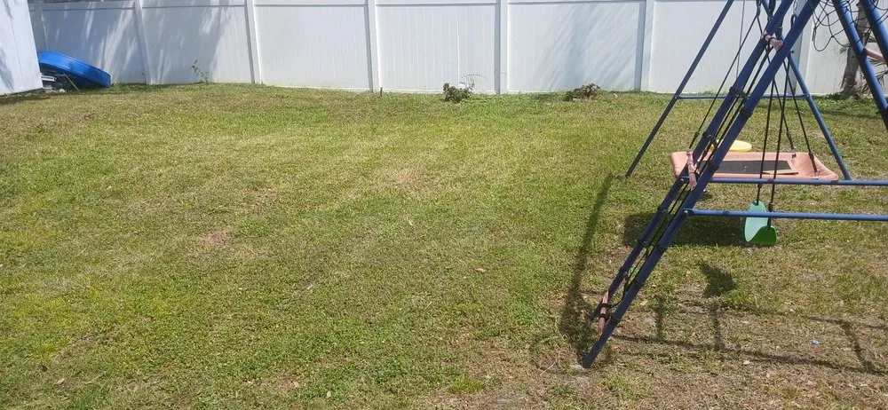 Trusted residential landscaping for beautiful yards across Tampa, FL - Fresh Cut Lawn Service and More