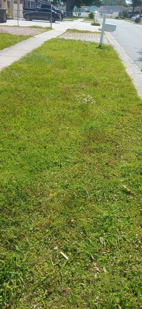 Affordable landscape design in Tampa, FL by Fresh Cut Lawn Service and More