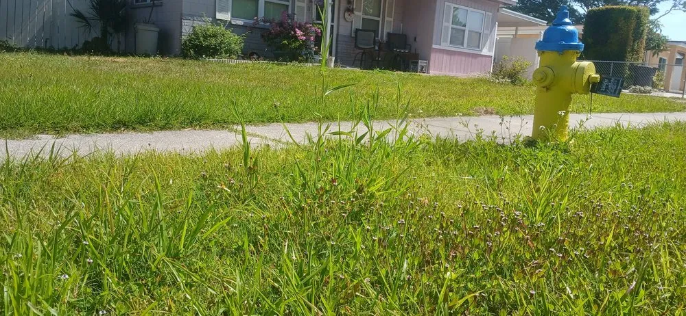 Local lawn mowing service in Tampa, FL by Fresh Cut Lawn Service and More
