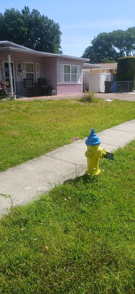 Expert outdoor landscaping in Tampa, FL by Fresh Cut Lawn Service and More