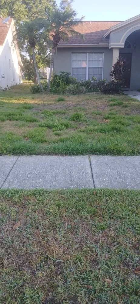 Custom landscape installation in Tampa, FL by Fresh Cut Lawn Service and More