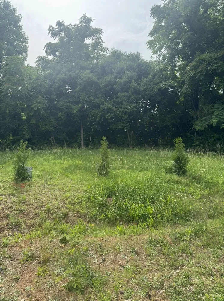 Expert residential landscaping in Asheboro, NC by Fresh Cut Lawn Services