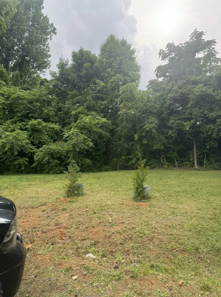 Affordable yard maintenance in Asheboro, NC by Fresh Cut Lawn Services