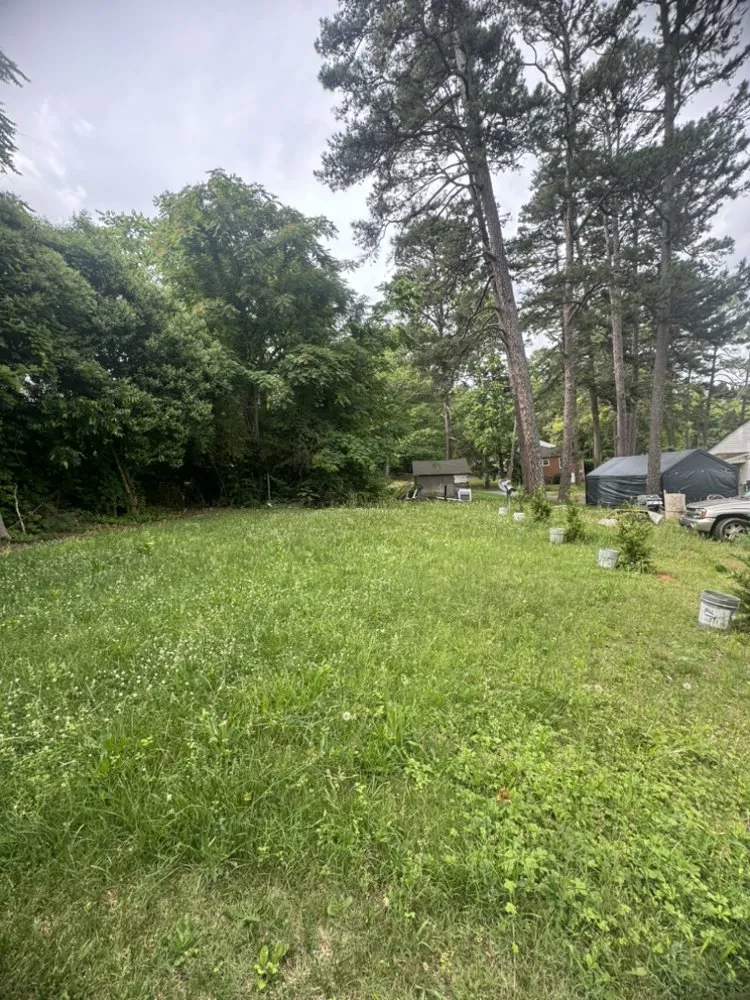 Professional landscaping services for residential properties in Asheboro, NC by Fresh Cut Lawn Services