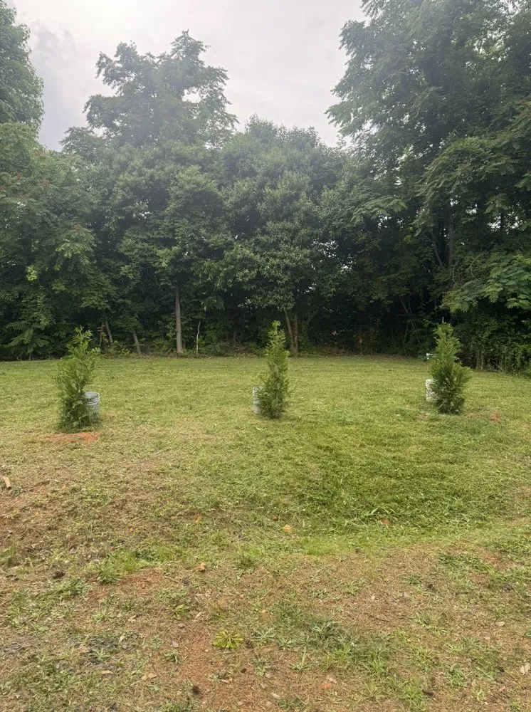 Expert yard maintenance for year-round maintenance in Asheboro, NC by Fresh Cut Lawn Services