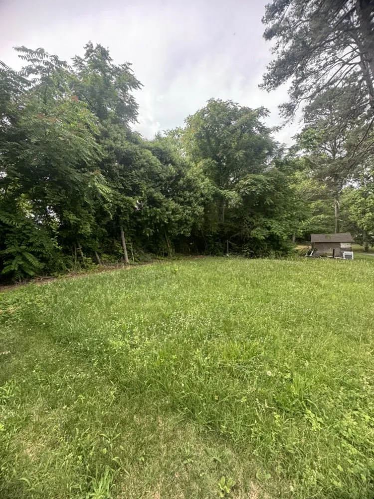 Affordable lawn care service in Asheboro, NC by Fresh Cut Lawn Services