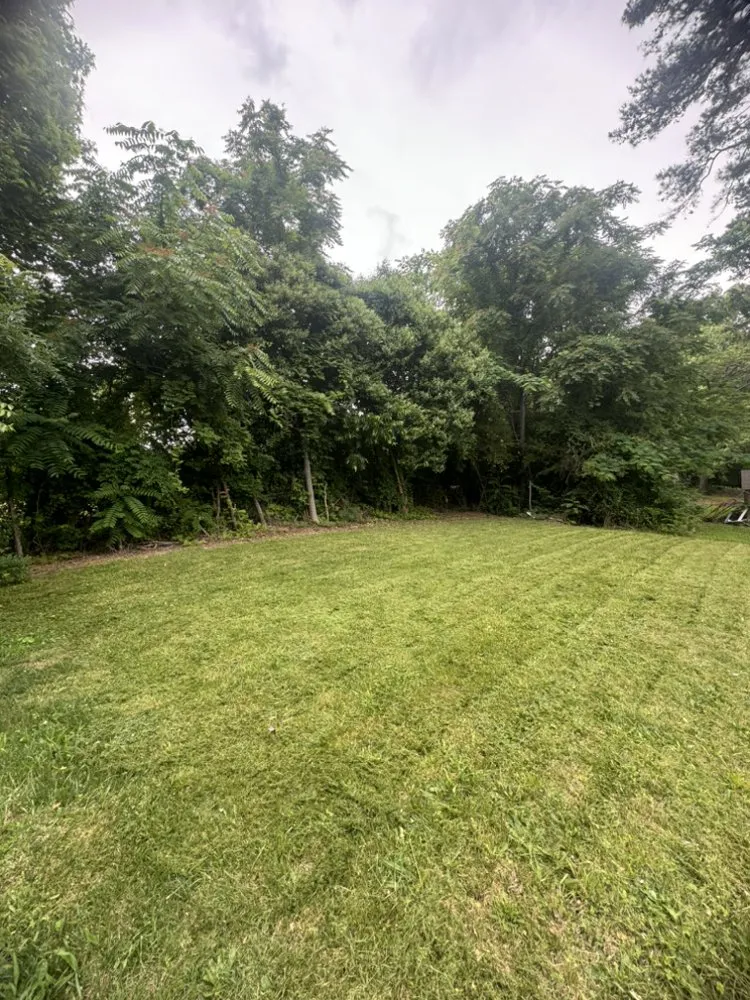 Professional lawn care service with custom design across Asheboro, NC - Fresh Cut Lawn Services