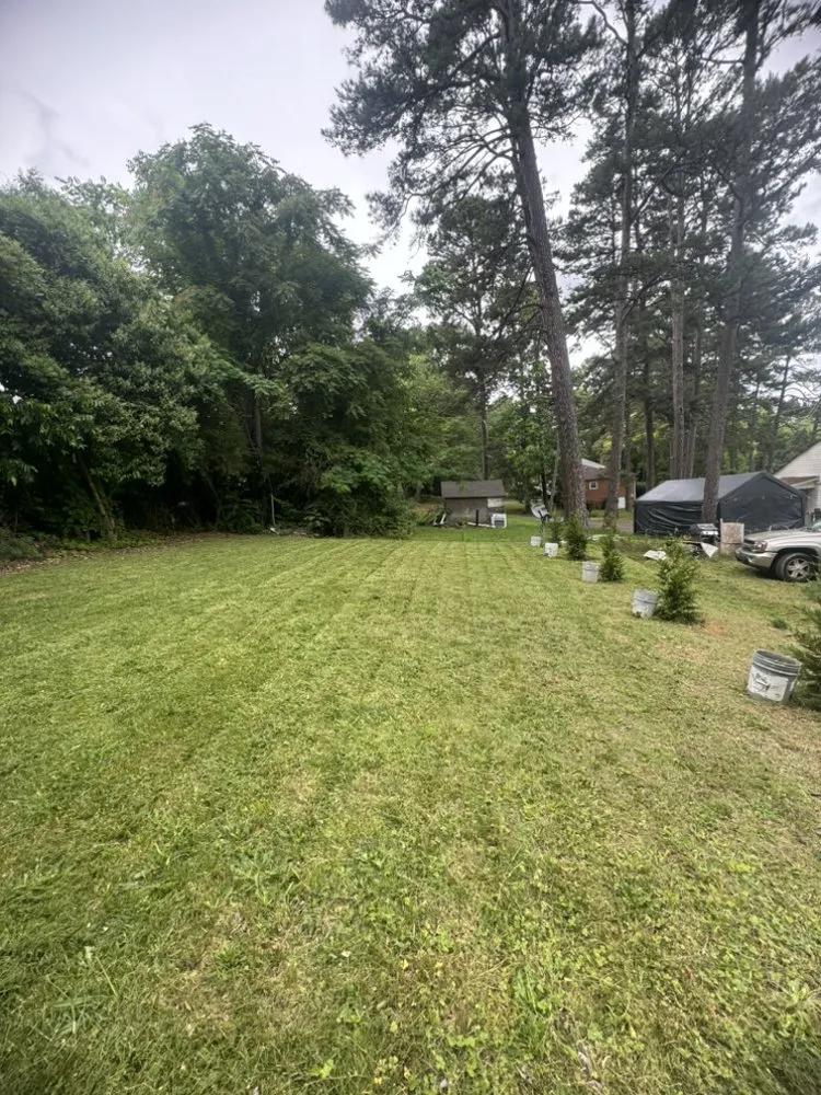 Affordable residential landscaping in Asheboro, NC by Fresh Cut Lawn Services