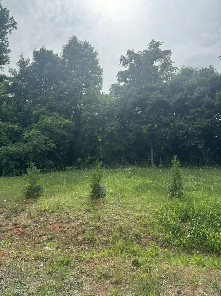 Professional landscape design in Asheboro, NC - Fresh Cut Lawn Services