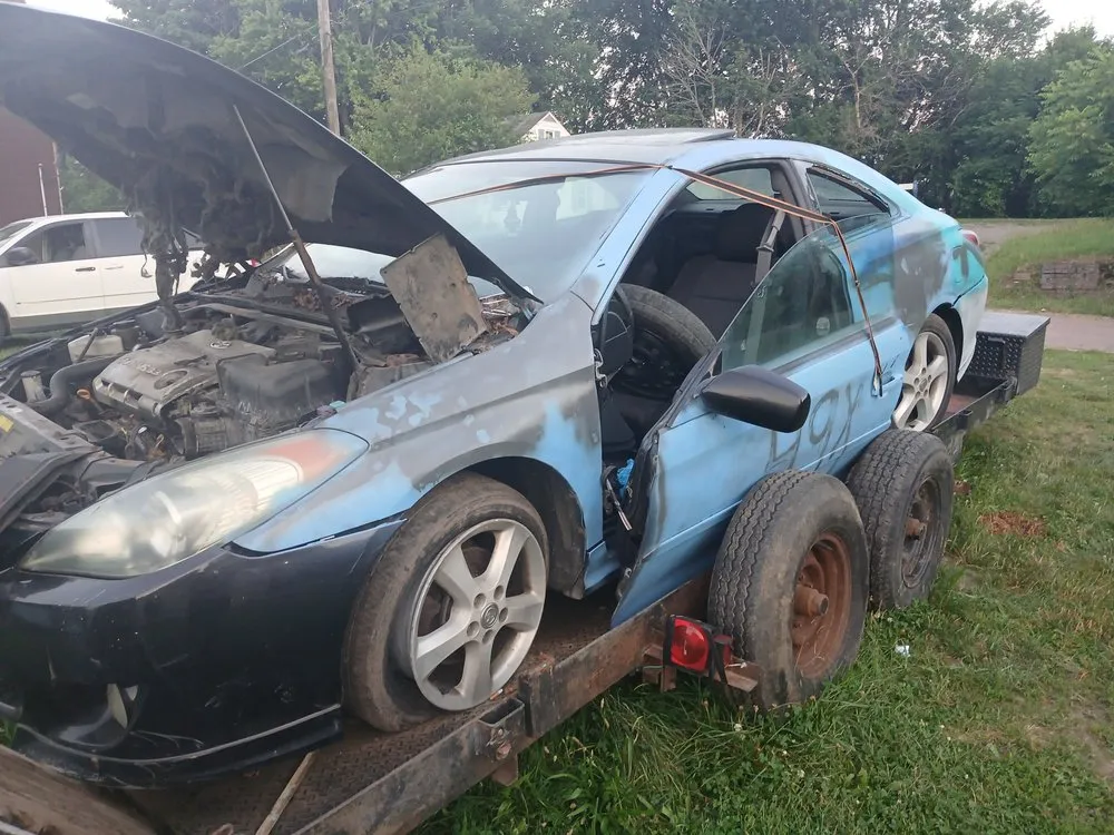 Top-rated yard cleanup service experts serving Canton, OH - Fresh Cut Lawn Services